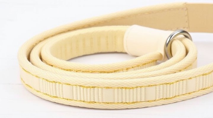Best Puppy Leash for Small Breeds: Buying Guide and Recommendations